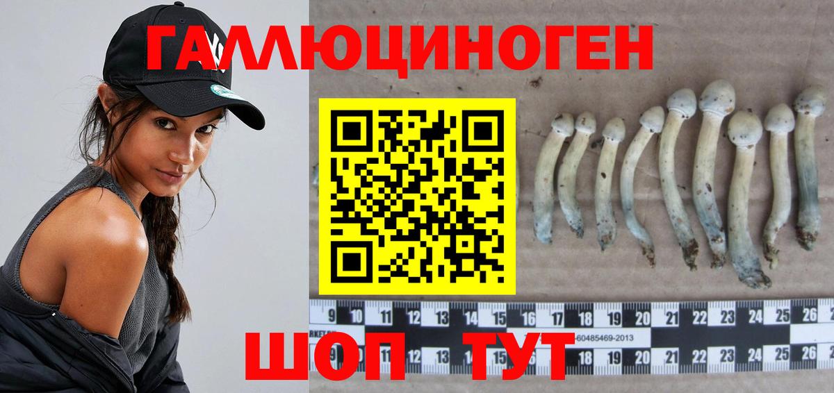 Псилоцибиновые грибы прущие грибы Дубна