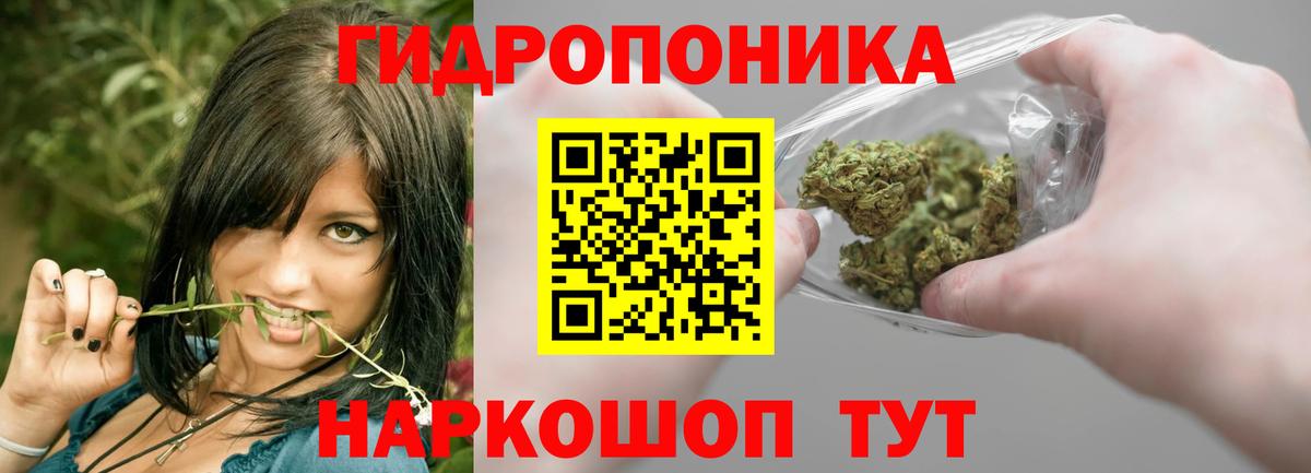 Каннабис Amnesia Дубна